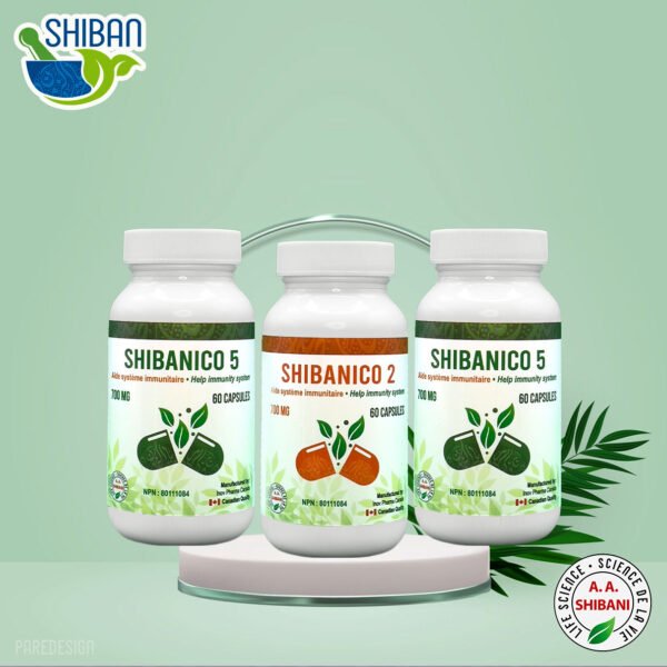 Shibanico-2-5-600x600